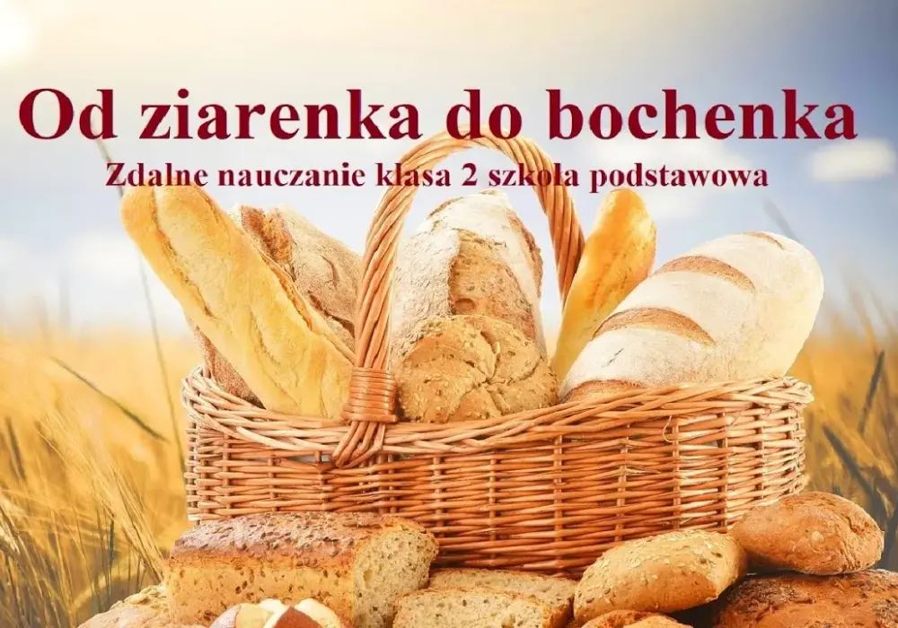 Jak powstaje chleb film edukacyjny dla dzieci - prosta i ciekawa nauka