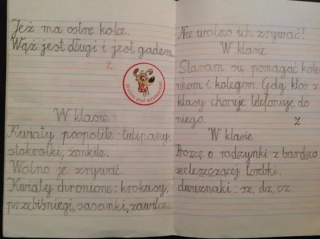 Jak pisać w zeszycie w 3 linie, aby uniknąć najczęstszych błędów
