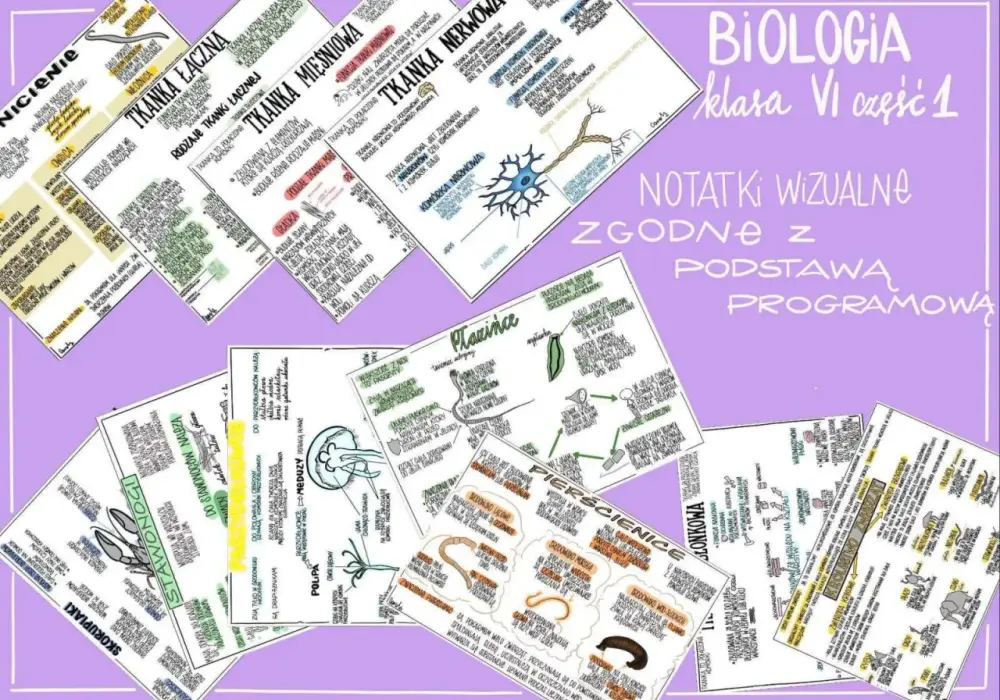 Zeszyt do biologii - Jaki wybrać, by notatki były czytelne?
