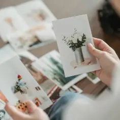 Dłonie przeglądają zdjęcia na papierze kredowym i fotograficznym. Bukiet białych róż w metalowym wazonie na jednym z nich.