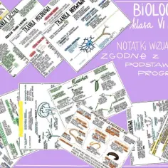 Kolorowy zeszyt do biologii z notatkami wizualnymi: tkanki, płazińce, pierścienice, skorupiaki, głowonogi, ryby.