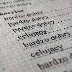 Świadectwo z ocenami: "bardzo dobry" i "celujący". Wyniki procentowo prezentują wysokie osiągnięcia.