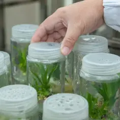 Czy po biotechnologii można uczyć w szkole? Sprawdź wymagania!