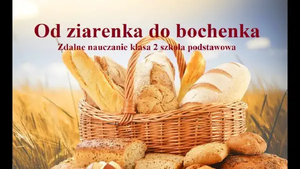 Jak powstaje chleb film edukacyjny dla dzieci - prosta i ciekawa nauka