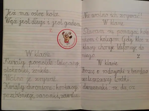 Jak pisać w zeszycie w 3 linie, aby uniknąć najczęstszych błędów