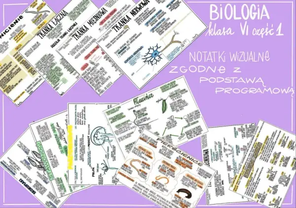 Zeszyt do biologii - Jaki wybrać, by notatki były czytelne?